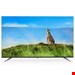   Snowa 65SA700 65 Inch IPS Smart  TV
