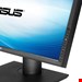  ASUS HA2402 Professional Display IPS Monitor