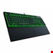 ornata v3 x