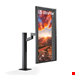  LG 32UN880-B Size 32 Inch Monitor